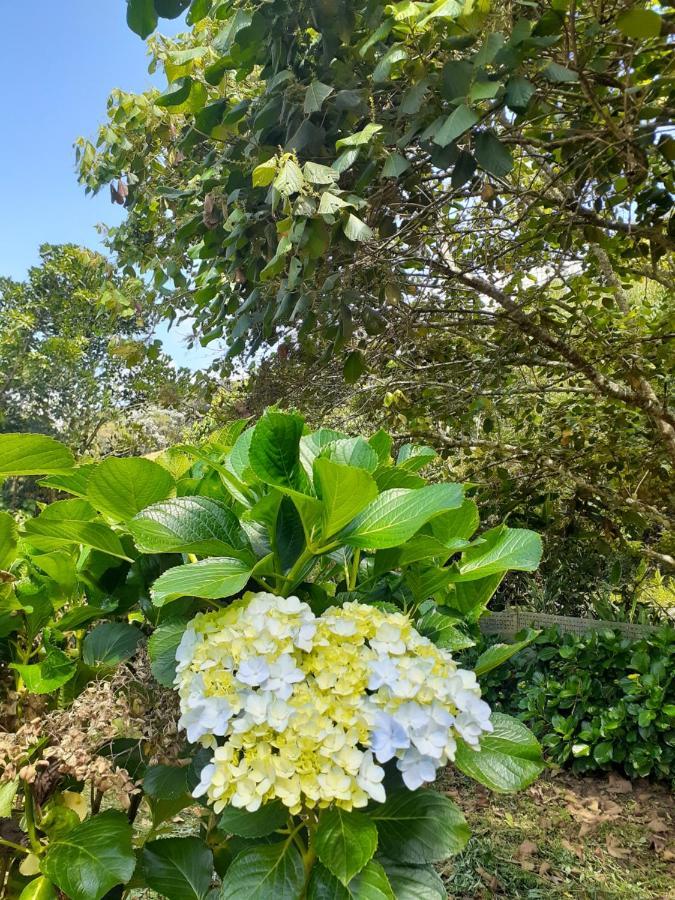 Chacara Ladeira De Pedra Villa ซาเลซัวโปลิส ภายนอก รูปภาพ