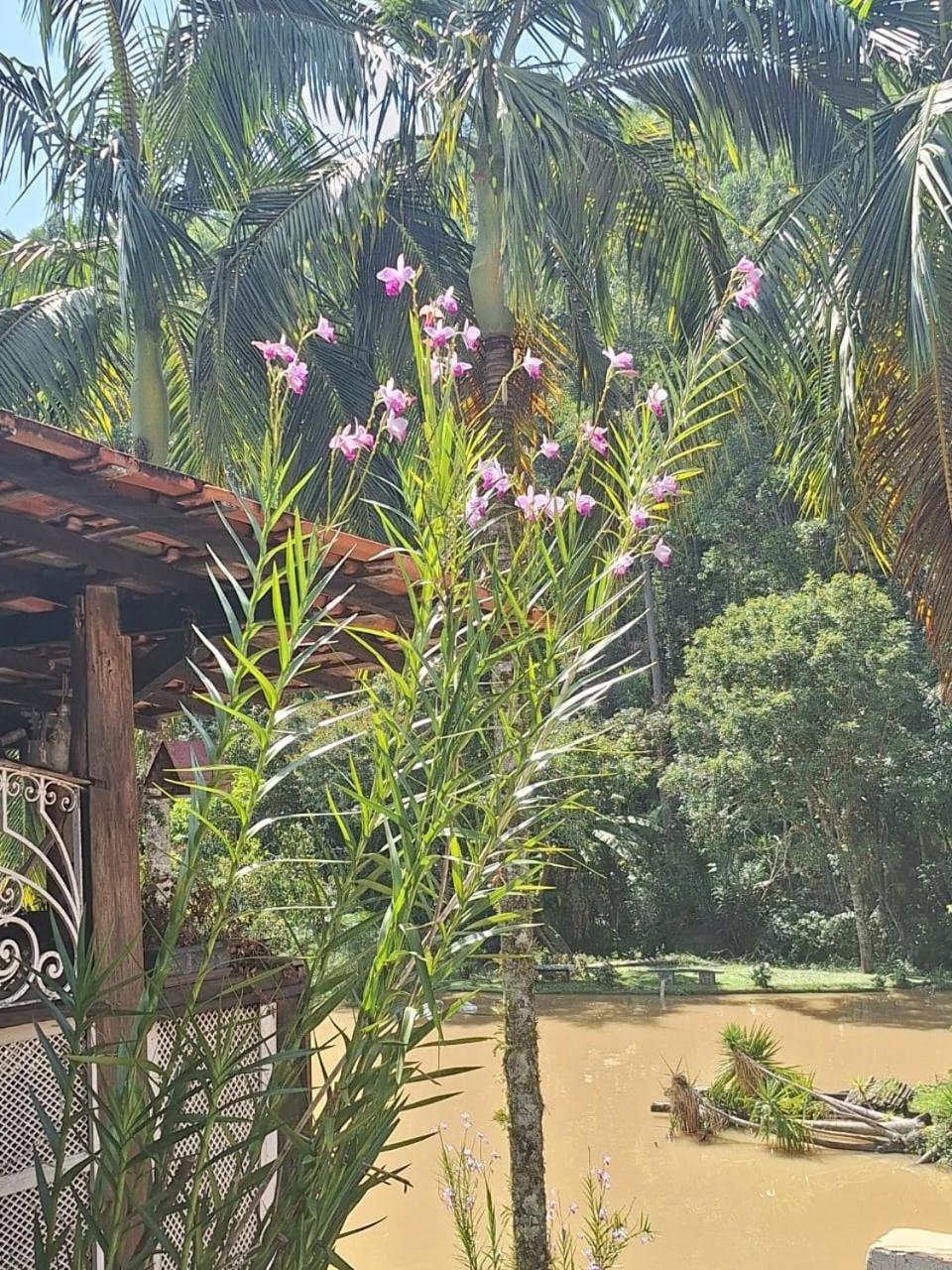 Chacara Ladeira De Pedra Villa ซาเลซัวโปลิส ภายนอก รูปภาพ
