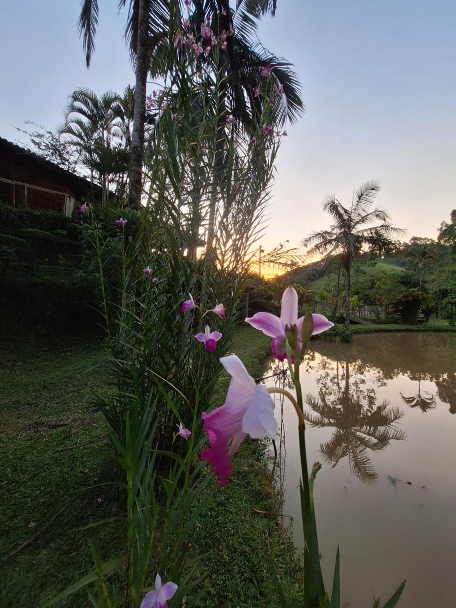 Chacara Ladeira De Pedra Villa ซาเลซัวโปลิส ภายนอก รูปภาพ